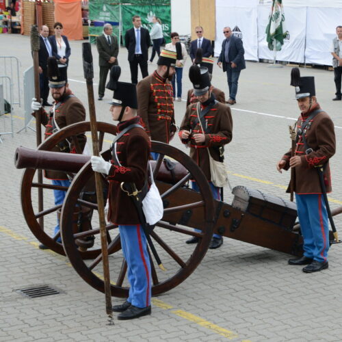 Megnyitó ágyúszóval