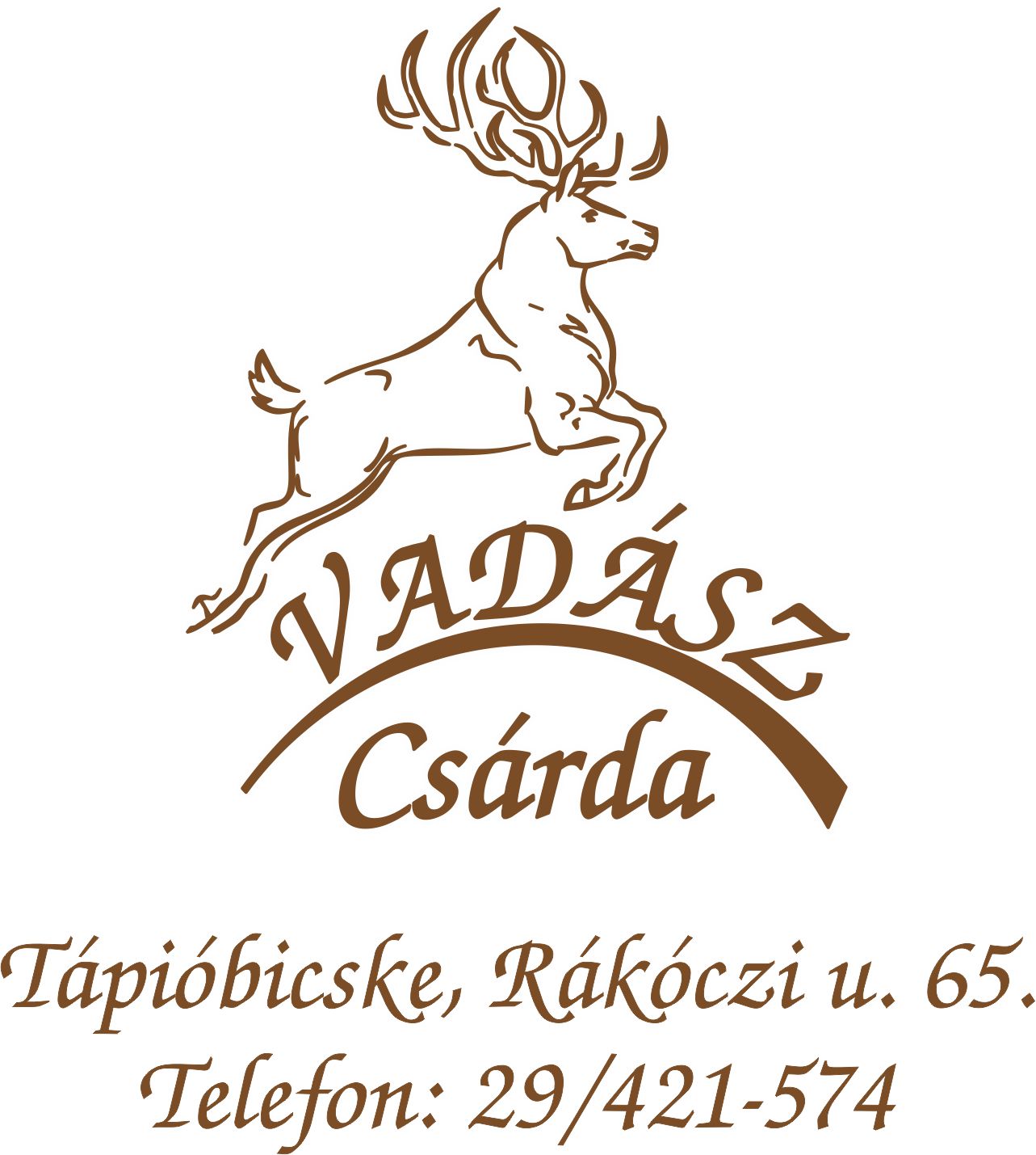 vadasz_logo